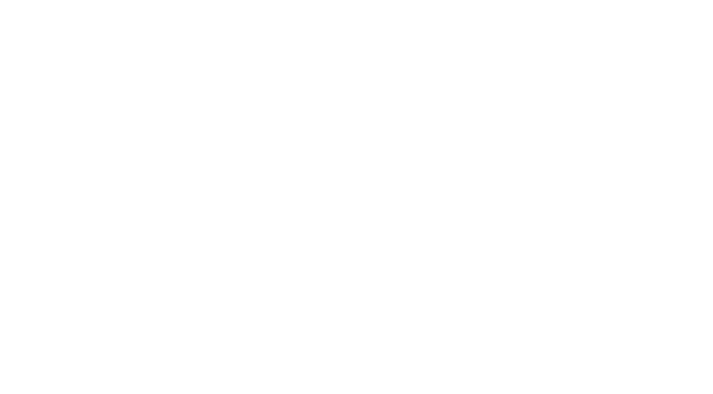The Hero Brothers